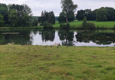 Trail Walking Clavier - La promenade du Vicus Gallo-Romain - Photo