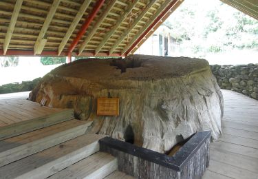 Tocht Te voet Bay of Islands-Whangaroa Community - Te Araroa - 01 Northland - d Kereikeri (Stone Store) to Waitangi Bridge - Photo