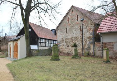 Excursión A pie Neschwitz - Njeswačidło - Naturlehrpfad Caßlauer Wiesenteiche - Photo