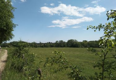 Tour Wandern Sentheim - Sentheim Schirm - Photo