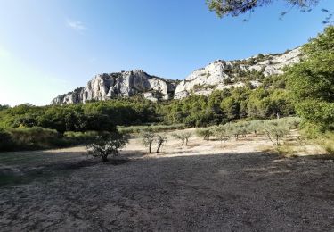 Tocht Stappen Cheval-Blanc - Gorges de Régalon - Photo