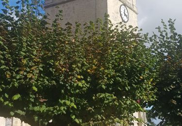 Tour Wandern Ronquerolles - Ronquerolles Chambly Removal - Photo