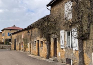 Tour Nordic Walking Montmédy - Montmédy - Photo