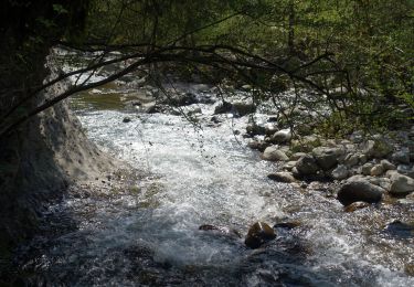 Tocht Stappen Saint-Alban-Leysse - Vallon-de-la-Leysse-2021-04-17 - Photo