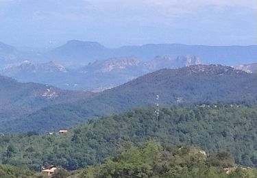 Randonnée Marche La Garde-Freinet - les roches  blanches - Photo