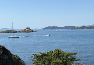 Trail sport Hyères - Porquerolle Ouest le fort du Langoustier  - Photo