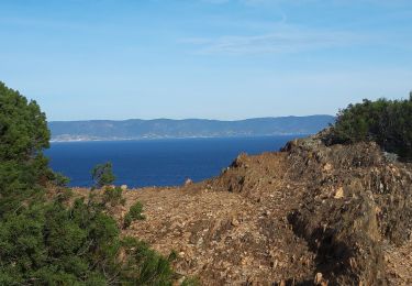 Trail Walking Hyères - Port-Cros  - Photo