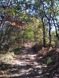 Excursión Senderismo Villamblard - Villamblard  la forêt  - Photo