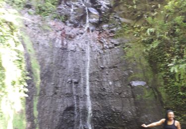 Excursión Senderismo Schœlcher - École vent des bois-enbas so aller-retour  - Photo