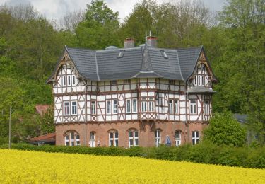 Tocht Te voet Schöningen - Zielwanderweg Elmgarten Schöningen - Photo