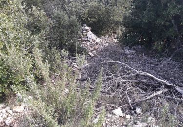 Randonnée Marche Méounes-lès-Montrieux - rando meounes - Photo
