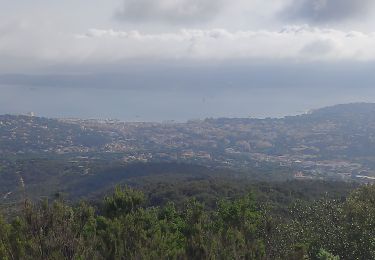 Tocht Stappen Sainte-Maxime - ste maxime le deffen - Photo