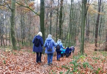 Tocht Te voet Chaumont-Gistoux - #181130 - Autour de Vieusart, version courte - Photo