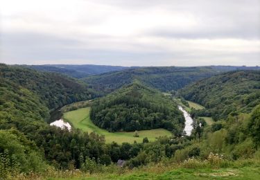 Excursión Senderismo Bouillon - Promenade du Moulin du Rivage. (3,5km) - Photo