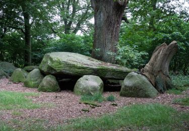 Randonnée A pied Großenkneten - Rundwanderweg 14 Grossenkneten - Photo