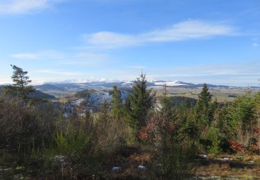 Randonnée Marche Aydat - Puy de Charmont - Photo