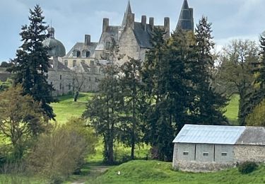 Randonnée Marche Vitré - Tour du lac de lavallière  - Photo