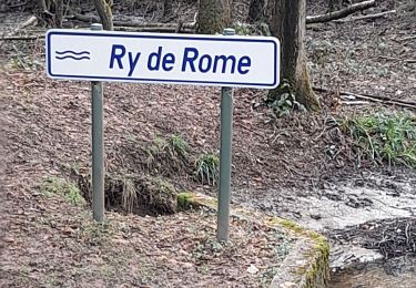 Trail Walking Couvin - BruBer - Couvin Ry de Rome - Photo