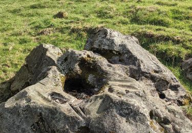 Tour Wandern Wirten - Aux sources du Bruzel  -  Marche_11kms - Photo