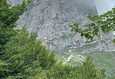 Trail Walking Château-Bernard - sous pas Balme de Arzelier - Photo