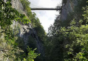 Tour Wandern Gruffy - chaos du cheran Scrat - Photo