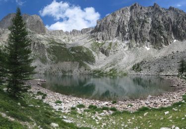 Tour Wandern Isola - Isola 2000, Tete Mercière et lac de Tavels - Photo