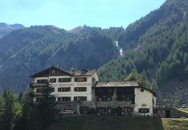 Randonnée Marche Cogne - Cogne Valnontey - Photo