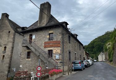 Tour Wandern Nasbinals - Montgros - st chely d’aubrac - Photo