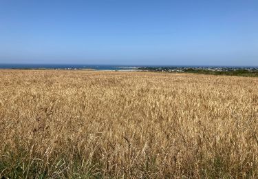 Tocht Wegfiets Plouguerneau - Plage du Zorn - Curnic - Menez Ham - Phare de Kervenven er retour - Photo