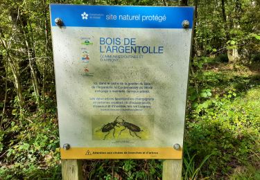 Excursión Senderismo Giffaumont-Champaubert - Bois de l'Argentolle  - Photo