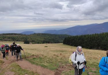 Trail Walking Linthal - Hilsen - Photo