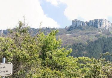 Trail Walking Peyrus - Le Pas du Touet - Le Pas Saint-Vincent - Photo