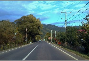 Tocht Te voet  - Răstolița-Curmătura Tihului - Photo