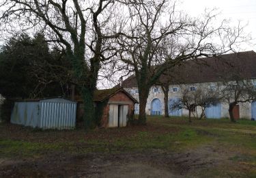 Tour Zu Fuß Dampierre - Sentier des Mines - Photo