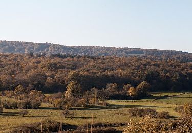Tocht Te voet Bligny-sur-Ouche - Rail d'Antan 23 km - Photo