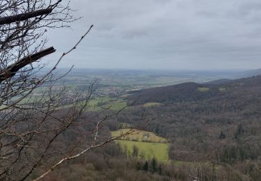 Tocht Stappen Châtillon-le-Duc - Chatillon le duc - Photo