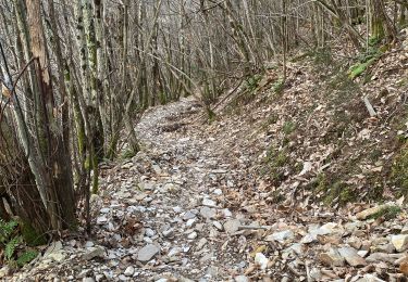 Trail Walking Saint-Laurent-le-Minier - Saint Laurent le minier Pic d’Anjeau - Photo