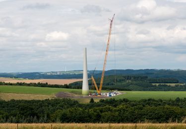 Tour Zu Fuß Goesdorf - Fleche Bleu Dahl - Photo