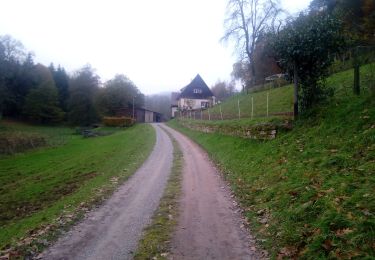 Excursión A pie Kirchzell - Rundwanderweg Kirchzell 4: Drei-Täler-Weg - Photo