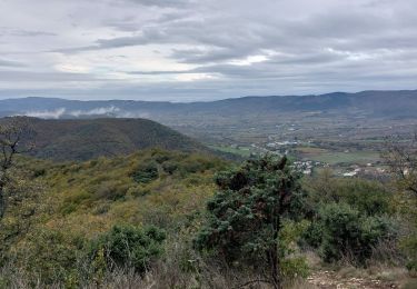 Excursión Senderismo Aubignas - Aubignas 14km - Photo