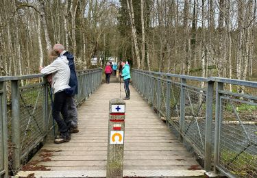 Tour Wandern Wellin - Neupont, La Lesse 7 - Photo