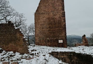 Trail Walking Gueberschwihr - Les Marcheurs...et la fondue..26/01/2024 - Photo