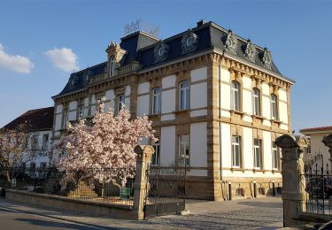 Randonnée A pied Wachenheim an der Weinstraße - Wachenheim Rundwanderweg 15 - Photo