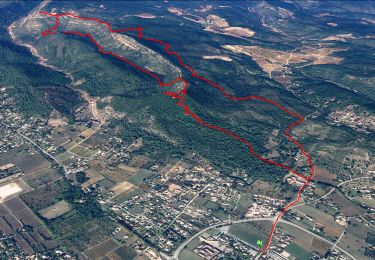 Trail Walking Le Val - Trace_Le_Val - Photo