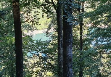 Tour Wandern Lautenbachzell - rdpr G3 240521 Gustiberg matin 2 - Photo