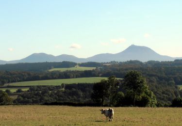 Trail Walking Cisternes-la-Forêt - Lavergne_Puy_Faux - Photo