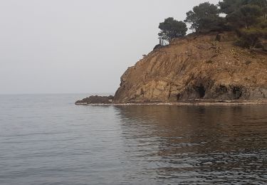 Excursión Senderismo Cerbère - les aloès. cerbère . coll dells belitres (espagne) . cap cerbère . cerbère. les aloès   - Photo