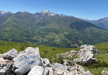 Trail Walking Asté - Casque du Lhéris et le Haboura  - Photo