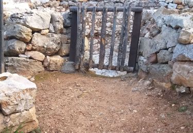 Randonnée Marche Ollioules - croupatier grotte et fours - Photo