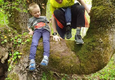 Tour Wandern Escamps - Ecamps - Photo